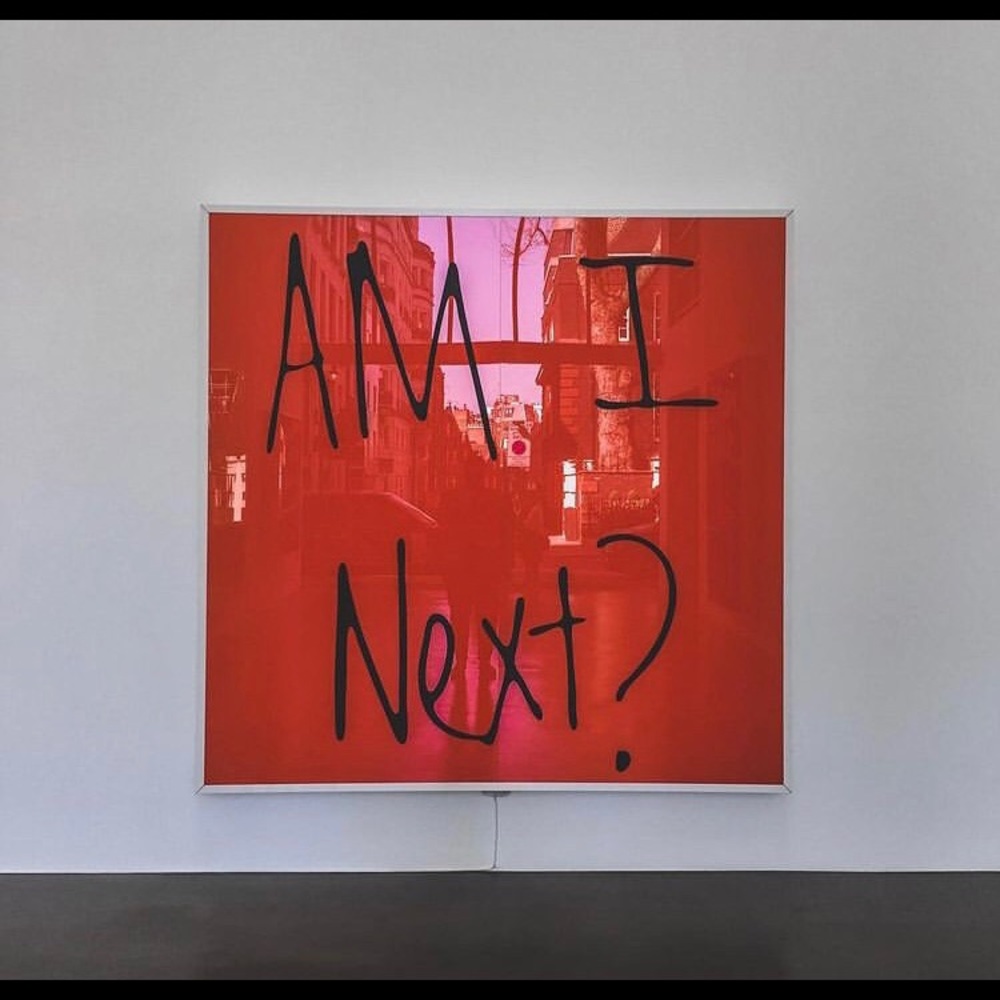 Meet your Posher, Teddy